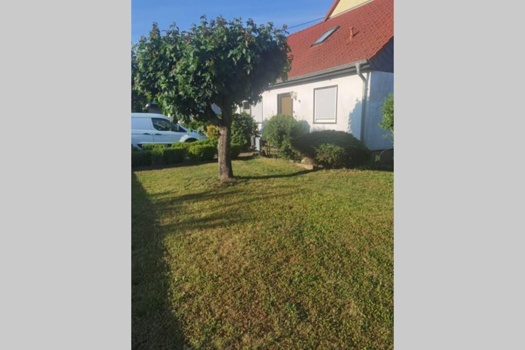 Wohnung Naehe Losheimer Stausee Niederlosheim Eksteriør billede